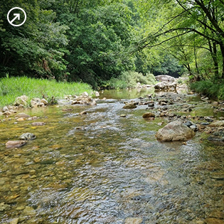 석산계곡 자료 사진