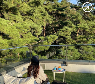 옥상에서 나무를 바라보는 여자의 모습