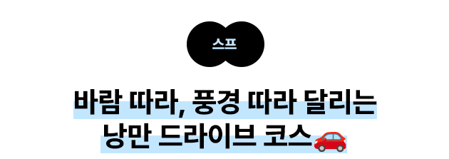 바람 따라, 풍경 따라 달리는 낭만 드라이브 코스🚗