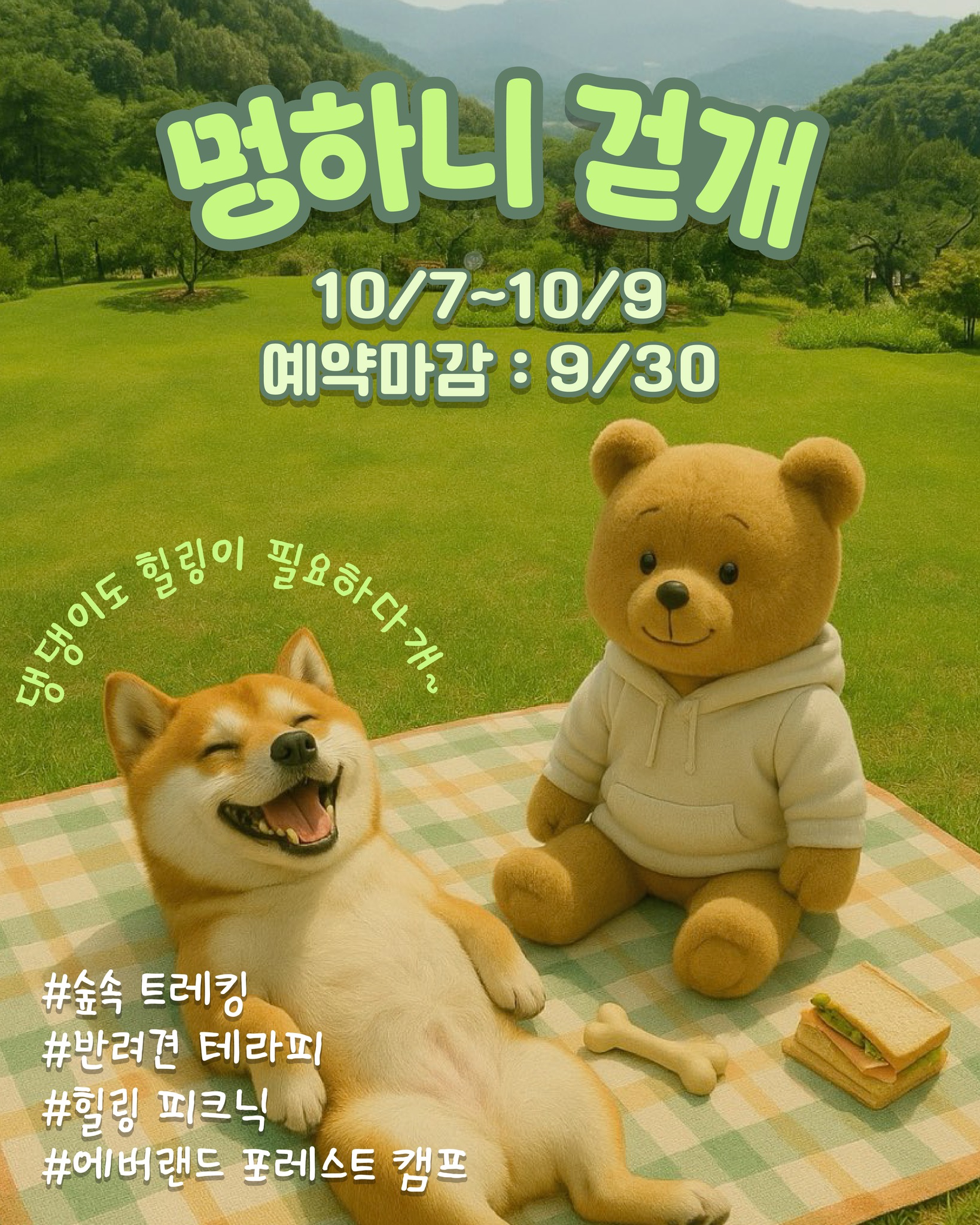 멍하니 걷개 10/7~10/9 예약마감 9/30  댕댕이도 힐링이 필요하다개~ #숲속 트레킹 #반려견 테라피 #힐링 피크닉 #에버랜드 포레스트 캠프
