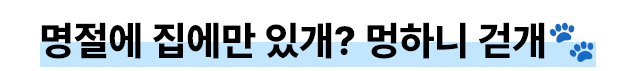 명절에 집에만 있개? 멍하니 걷개