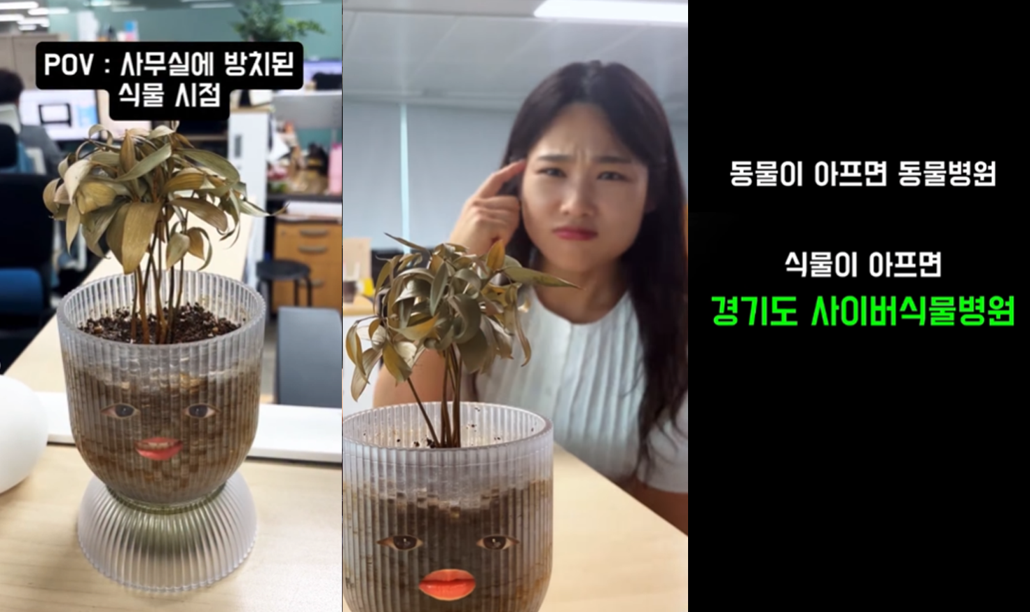 sns 이미지 3분활 왼쪽 pov: 사무실에 방치된 식물 시점이라는 자막과 함게 아픈 얼구이 합성된 화분의 모습/ 가운데: 아픈 식물을 앞에 두고 문제가 몰라 고민하는 주인의 모습/ 오른쪽: 동물이 아프면 동물병원 식물이 아프면 경기도 사이버식물병원이라는 자막