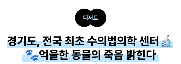 경기도, 전국 최초 수의법의학 센터🔬 🐾억울한 동물의 죽음 밝힌다
