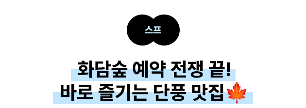 스프 화담숲 예약 전쟁 끝! 바로 즐기는 단풍 맛집