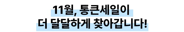 11월, 통큰 세일이 더 달달하게 찾아갑니다!