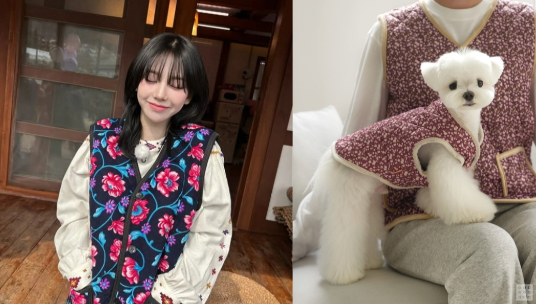 김장조끼 입고 잇는 카리나 (좌) 김장조끼 커플룩을 입은 사람과 말티즈 투샷(우)