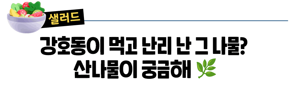 [샐러드] 강호동이 먹고 난리 난 그 나물?  산나물이 궁금해 🌿
