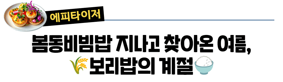 [에피타이저] 봄동비빔밥 지나고 찾아온 여름, 🌾보리밥의 계절🍚