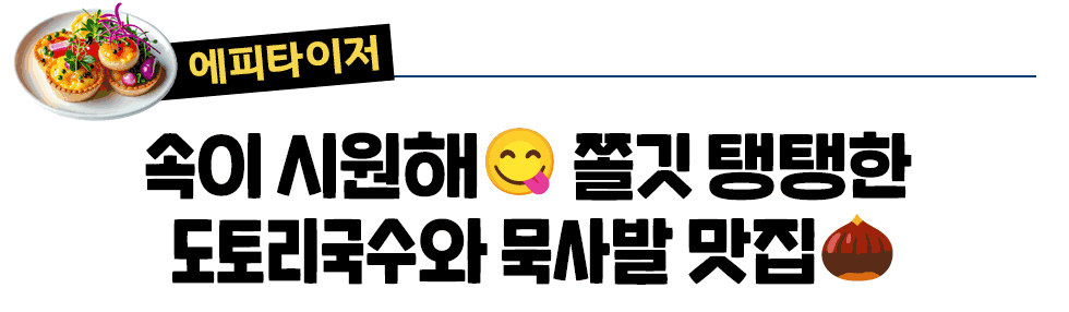 [에피타이저] 속이 시원해😋 쫄깃 탱탱한  도토리국수와 묵사발 맛집🌰