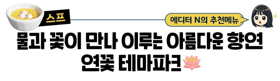 [스프] 에디터 N의 추천메뉴:  물과 꽃이 만나 이루는 아름다운 향연  연꽃 테마파크