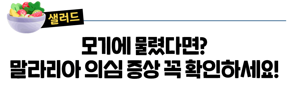 [샐러드] 모기에 물렸다면? 말라리아 의심 증상 꼭 확인하세요!