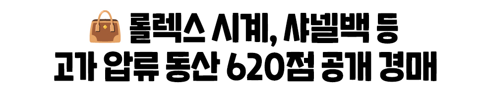 👜롤렉스 시계, 샤넬백 등 고가 압류 동산 620점 공개 경매