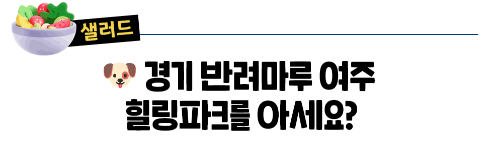 [샐러드] 🐶 경기 반려마루 여주  힐링파크를 아세요?