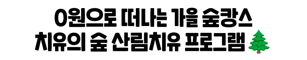 0원으로 떠나는 가을 숲캉스 치유의 숲 산림치유 프로그램🌳