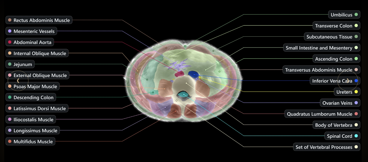 116568_3451960_1782470114395197790.png