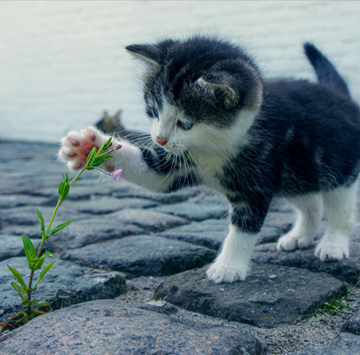 상처받은 마음을 외면하지 않는다 썸네일 이미지