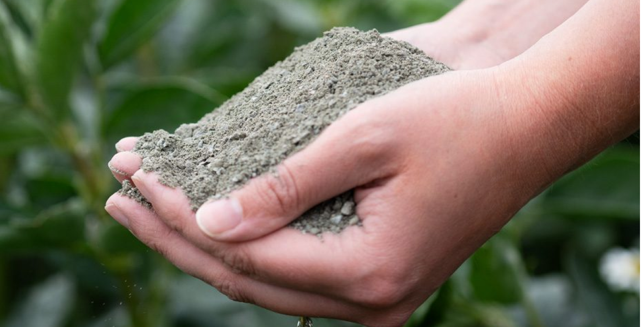 UNDO의 강화 암석 풍화 기술 적용 현장 – 탄소고정 자연기반해법 이미지