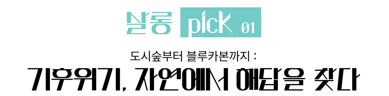 기후위기 자연기반 지속가능성 ESG 사례 - 도시숲 블루카본