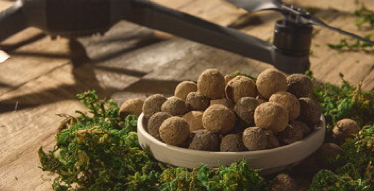 드론으로 산불 피해지를 복원하고 외래식물을 제거하는 인베랩의 자연기반 생태 복원 기술