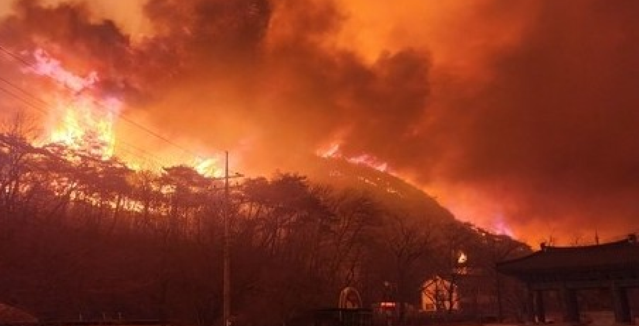 산불_생물다양성_자연자본_ESG_숲_바다_토지