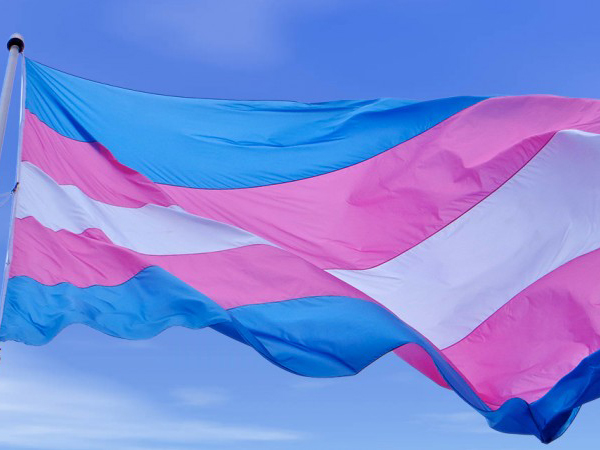 박한희 칼럼, 11월 20일 트랜스젠더 추모의 날들. 