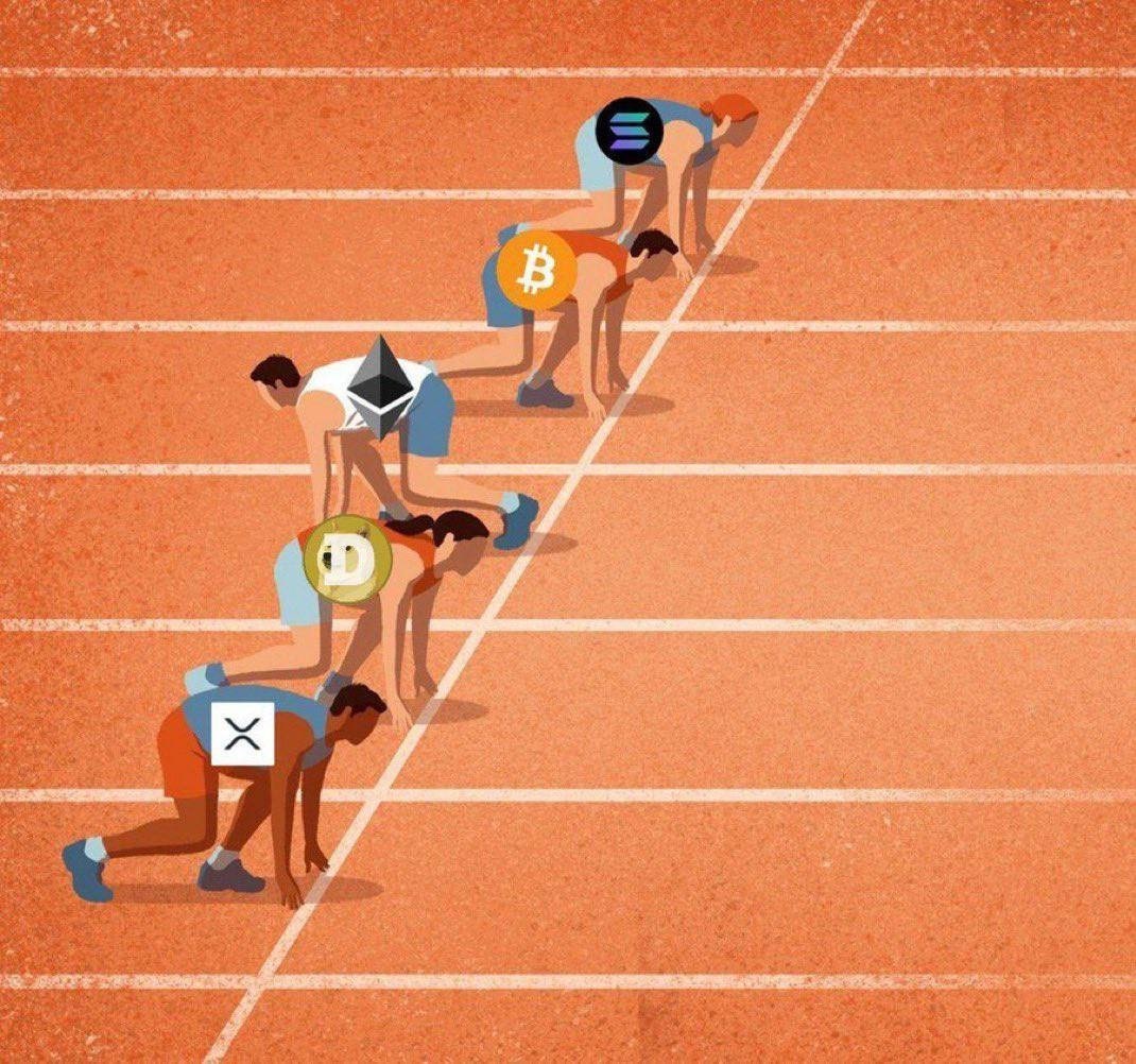 23876_2801160_1747364255482511162.jpg