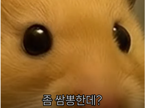 23876_2846643_1749783765001610598.PNG