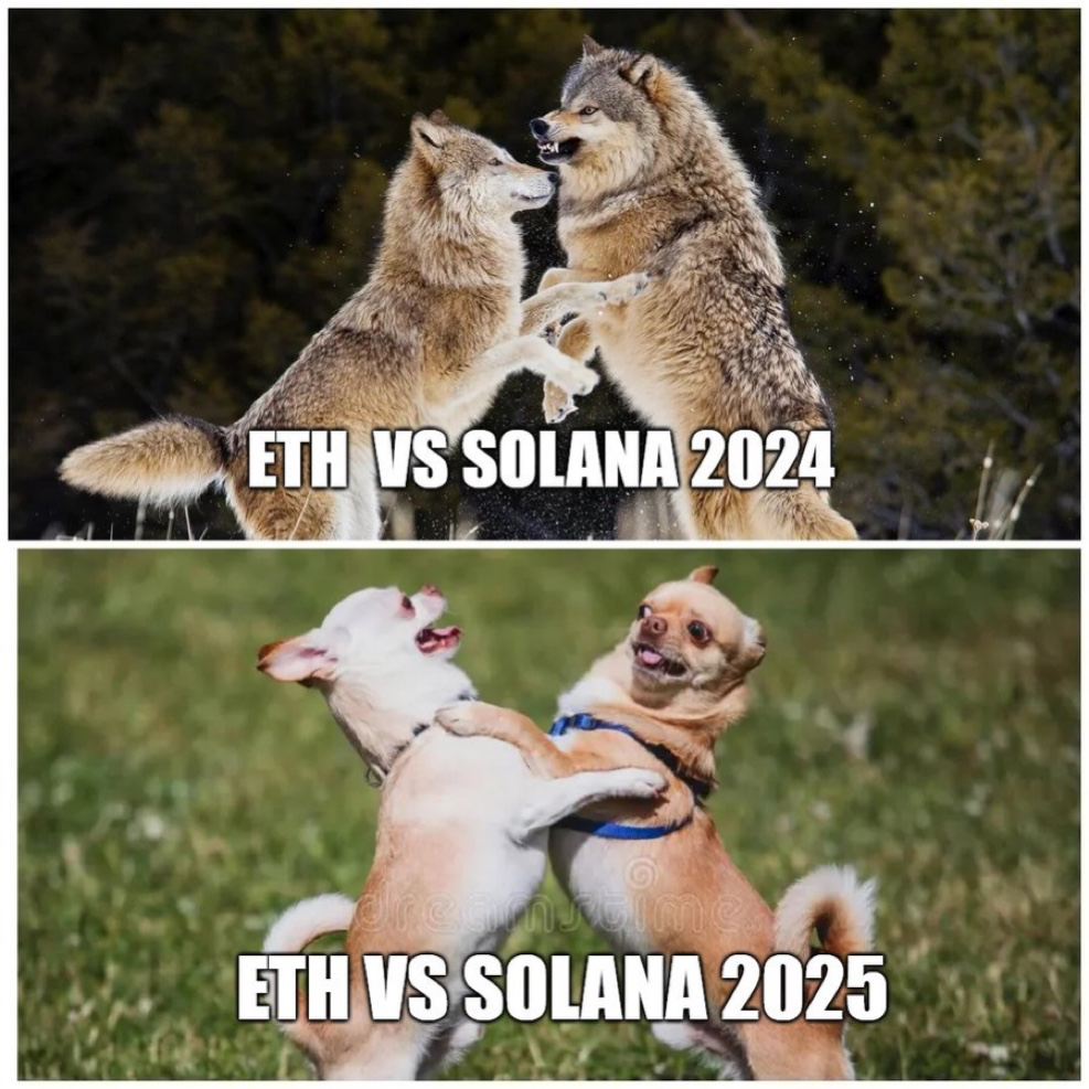23876_2870190_1750986945678669514.png