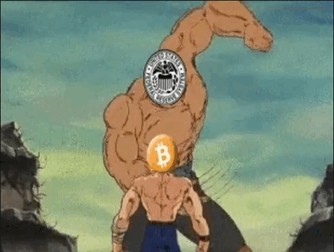 23876_2927835_1754017579028251993.gif