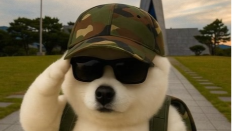 27005_3436551_1781669813091010968.png