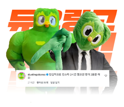 27005_3533025_1787130515374201828.png
