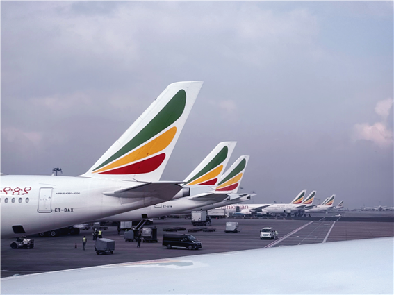 아프리카위클리(2025-41호): 아프리카 영공을 가로지르는 항공사들