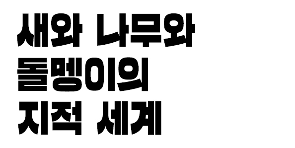 새와 나무와 돌멩이의 지적 세계