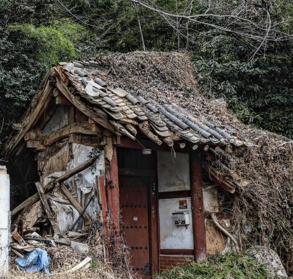 건축 디자이너 배무이 대표 강동수(姜東秀)님의 인스타그램에서