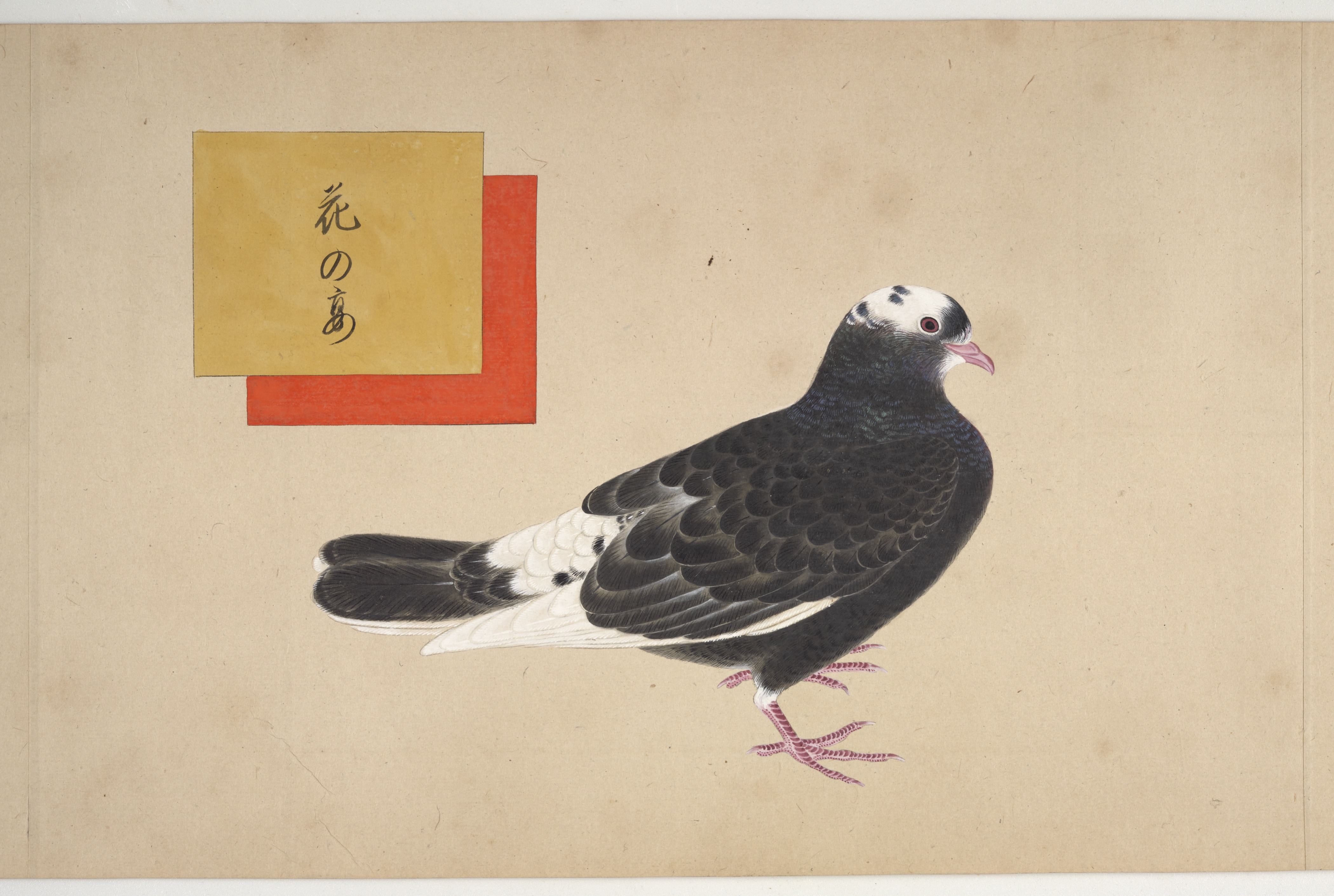 National Museum of Asian Art