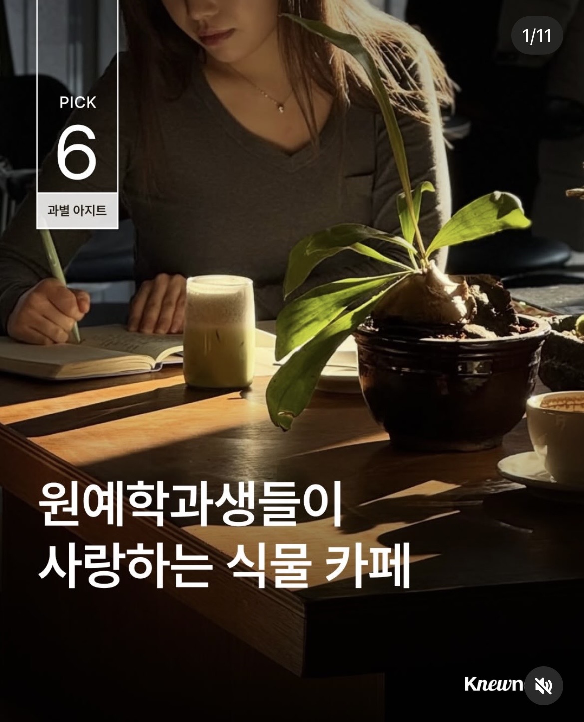 큐레이션콘텐츠