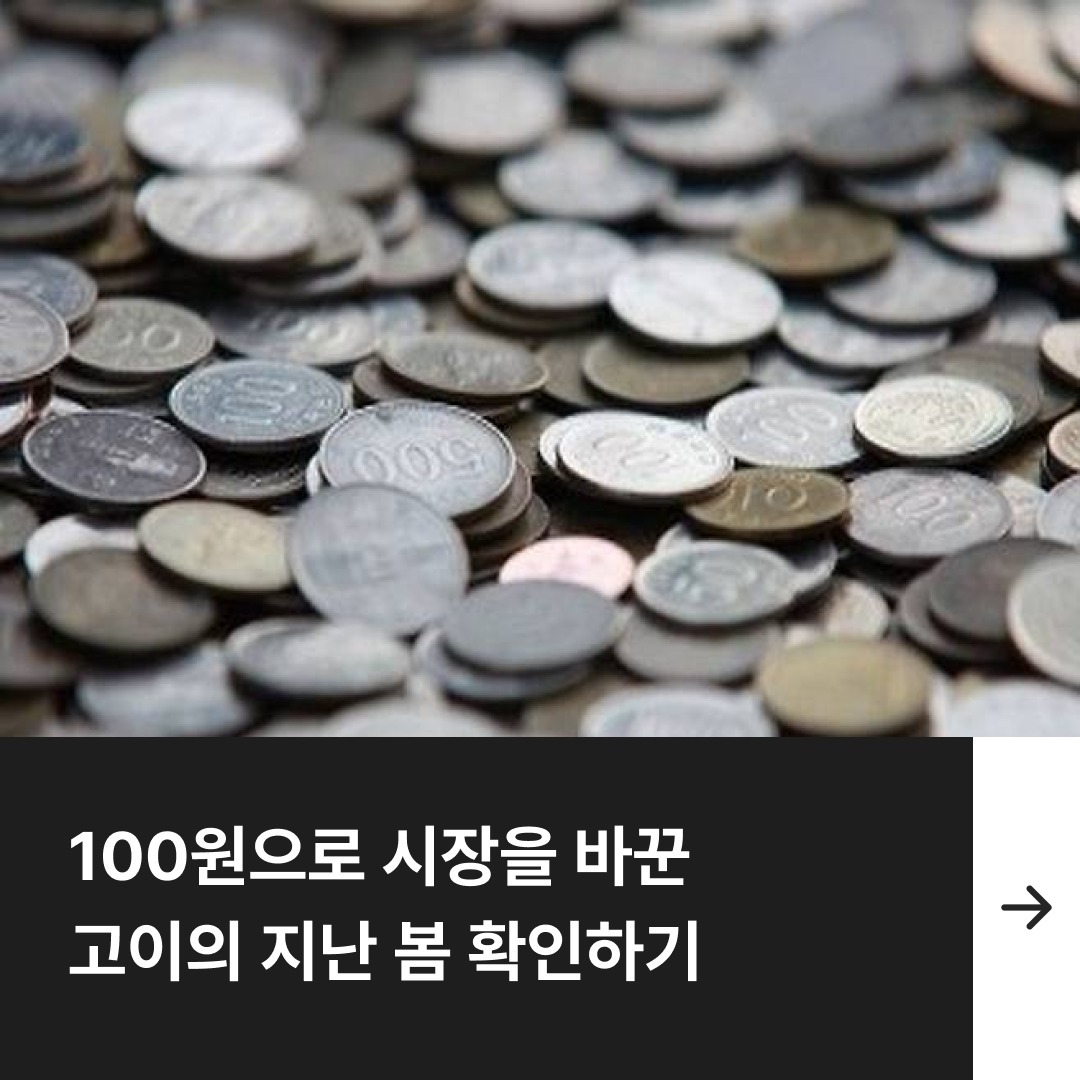 ‘100원으로 시장을 바꾼 고이의 지난 봄 확인하기’. 100원짜리 동전들이 수북히 쌓여 있다. 