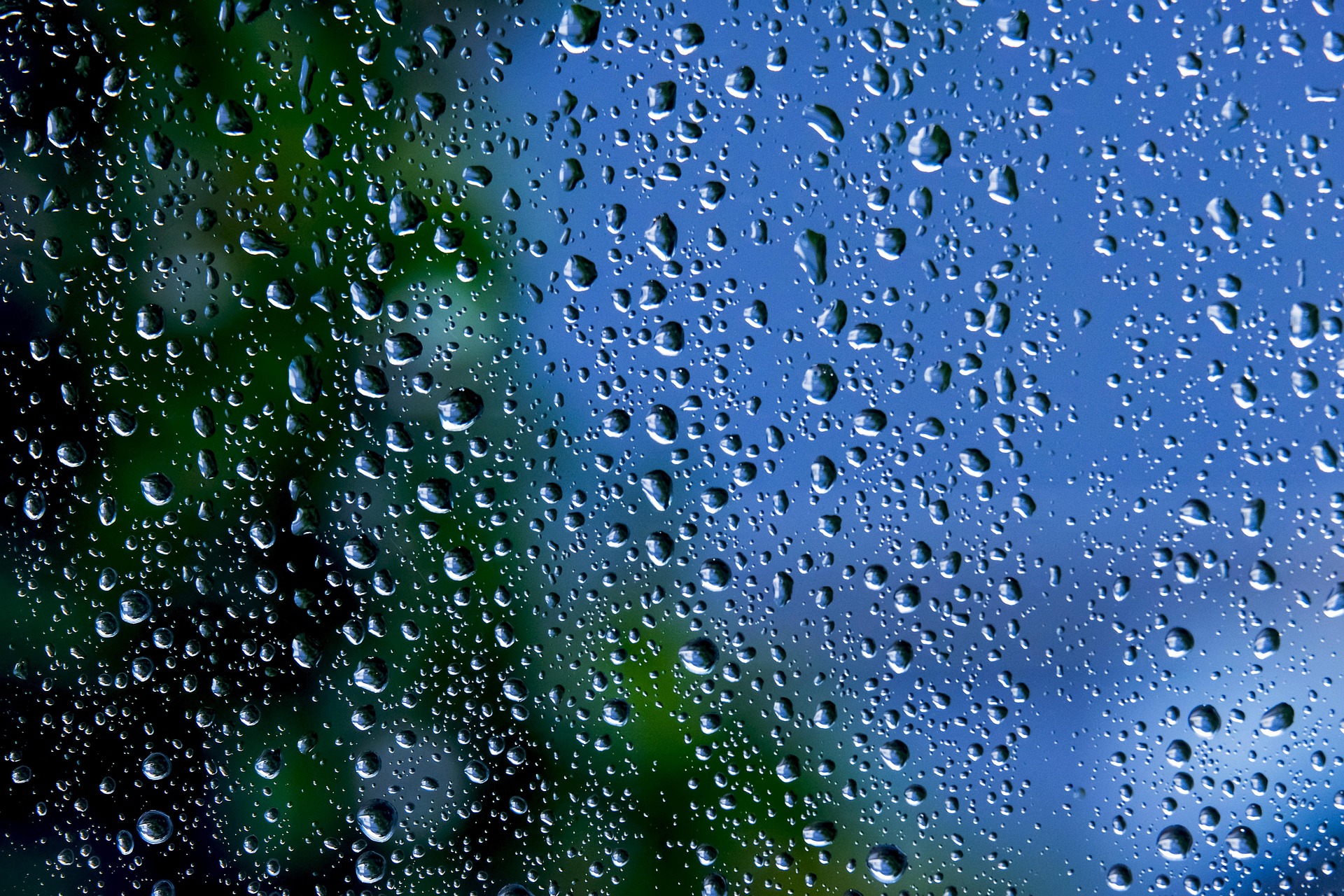 51938_3479265_1783400743535742321.jpg