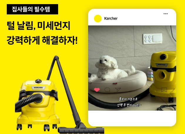 PET 링크