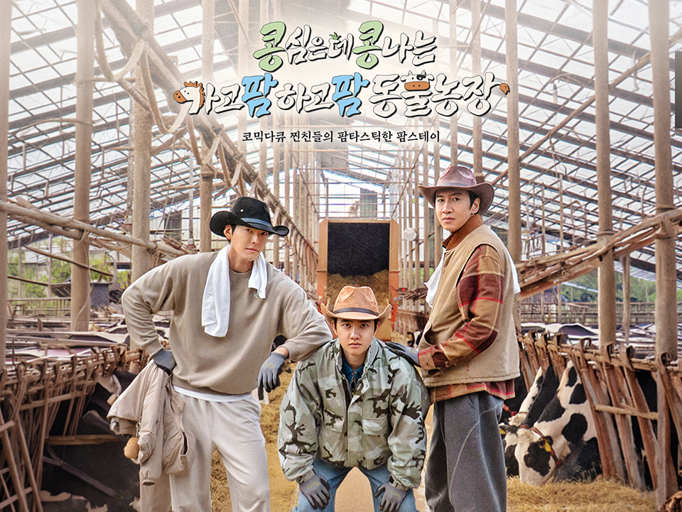 tvN 