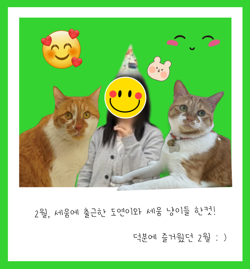 세움에 출근한 도연이