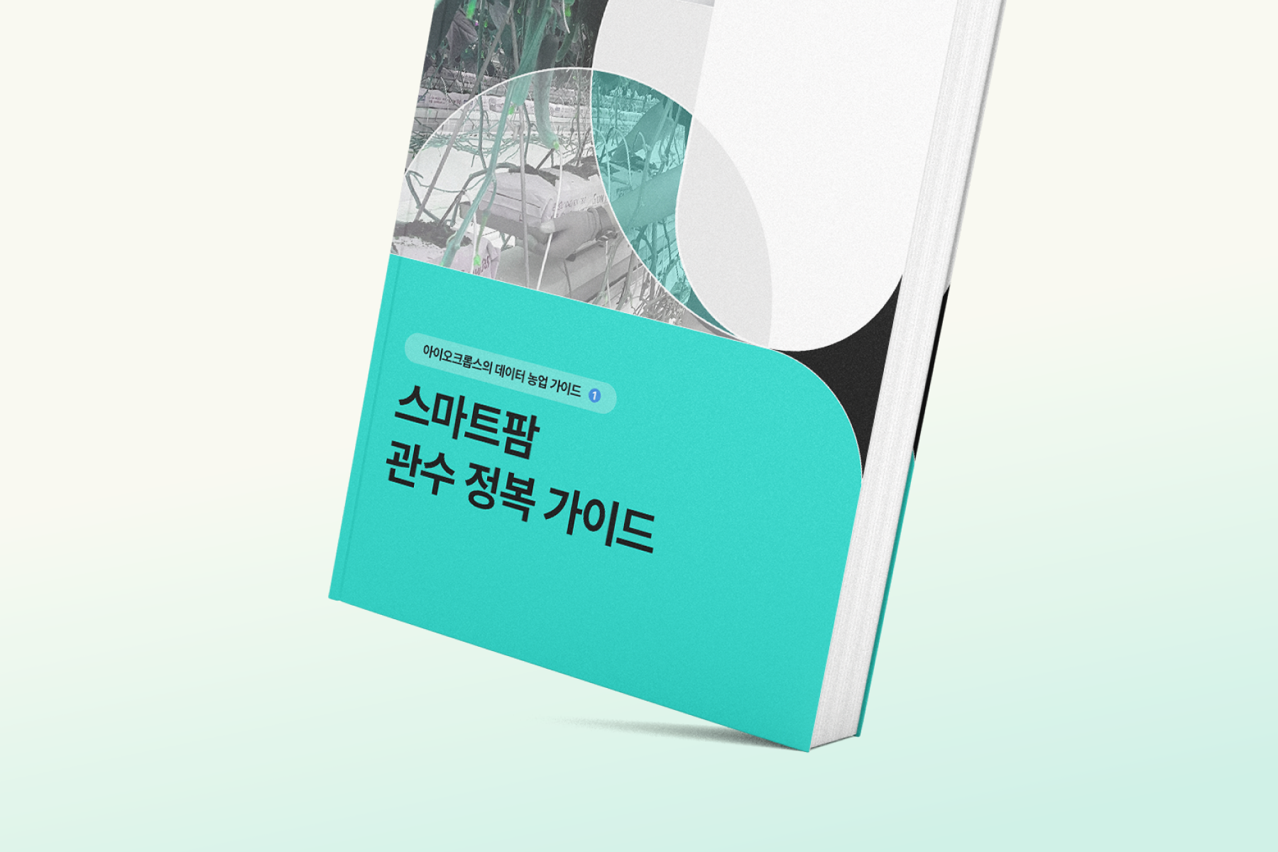 스마트팜 관수 정복 가이드