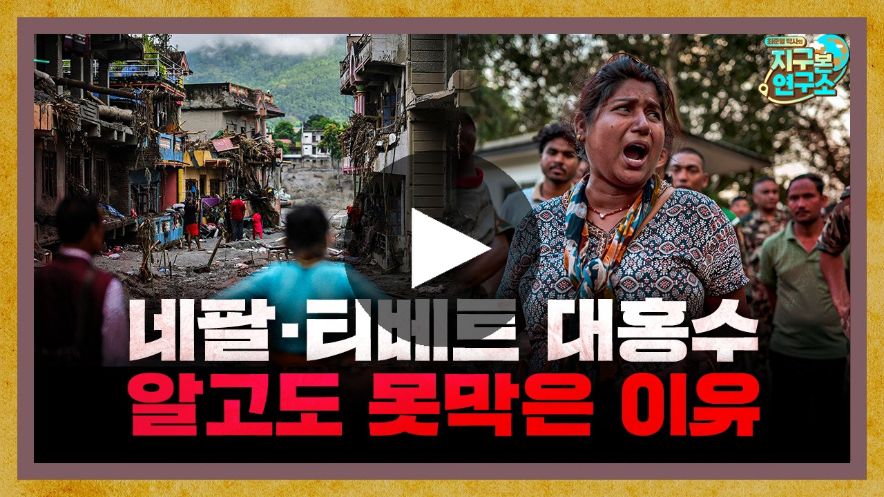 주간 인도동향 영상